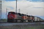 CN Grain Train at Cargill